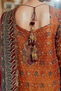 Burnt Orange Mysoori Sequence Embroidered Luxury Suit |Ready to Wear