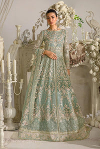 Mint Green Embroidered Net Maxi Suit | Ready to Wear