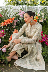 3 Piece Cotton Suit With Organza Dupatta| Ready To Wear