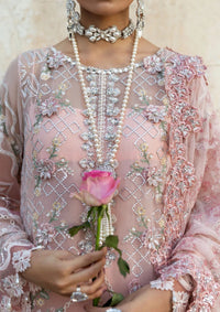 Blush Pink Embroidered Chiffon Suit |Ready to Wear