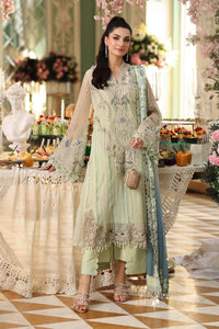 Mint Green Embroidered Chiffon Suit with Digital Printed Dupatta |RTW