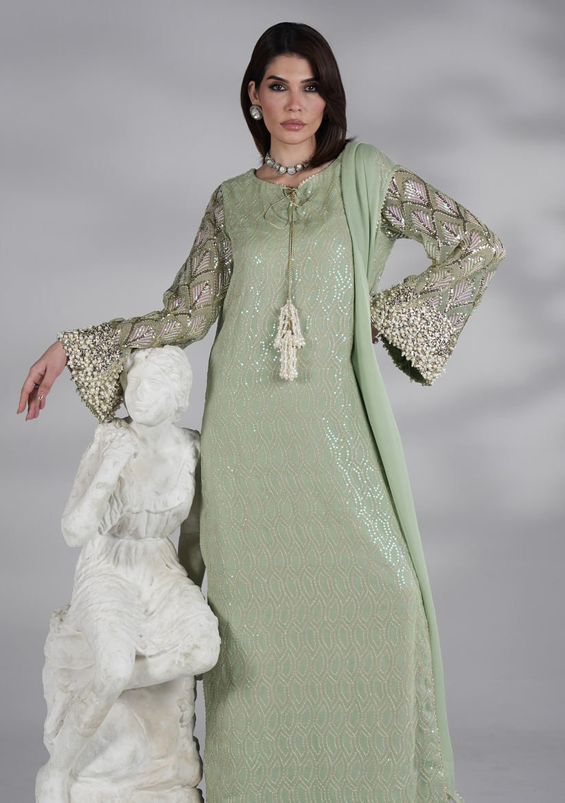 Mint Green Heavy Embroidered Chiffon Luxury Suit | RTW