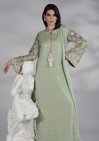 Mint Green Heavy Embroidered Chiffon Luxury Suit | RTW