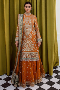 Mustard Embroidered Chiffon and Net Gararah Set | Ready to Wear