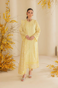 Pastel Yellow Embroidered Egyptian Lawn Suit | Ready to Wear