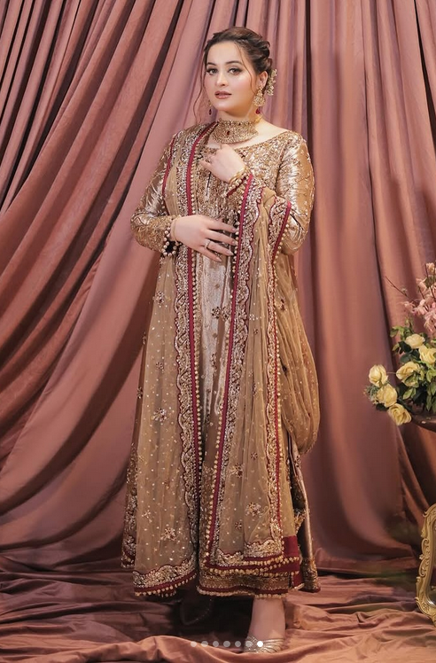Luxury Shimmer Embroidered Koti Style Suit with Addawork | RTW