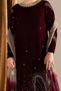 Embroidered Festive Ensemble Micro Velvet 9000 | RTW