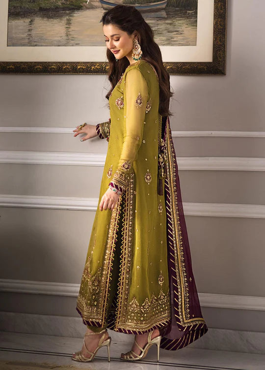 Olive Green and Maroon Chiffon Suit | Ready to Wear