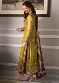 Olive Green and Maroon Chiffon Suit | Ready to Wear